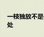 一枝独放不是春,百花齐放春满园的意思和出处