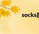 socks是什么意思（socks）