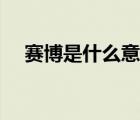 赛博是什么意思（赛博朋克是什么意思）