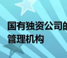国有独资公司的投资主体仅限于国有资产监督管理机构