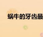 蜗牛的牙齿最多有多少颗（蜗牛的牙齿）