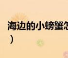 海边的小螃蟹怎么养活（海边的小螃蟹怎么养）