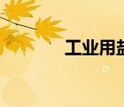 工业用盐化学式（工业用盐）