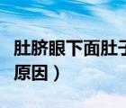 肚脐眼下面肚子大是什么原因（肚子大是什么原因）