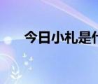 今日小札是什么意思（小札什么意思）