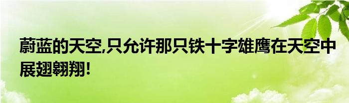 蔚蓝的天空,只允许那只铁十字雄鹰在天空中展翅翱翔!