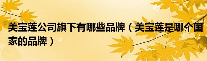 美宝莲公司旗下有哪些品牌（美宝莲是哪个国家的品牌）