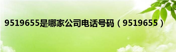 9519655是哪家公司电话号码（9519655）