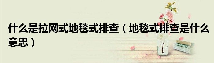 什么是拉网式地毯式排查（地毯式排查是什么意思）