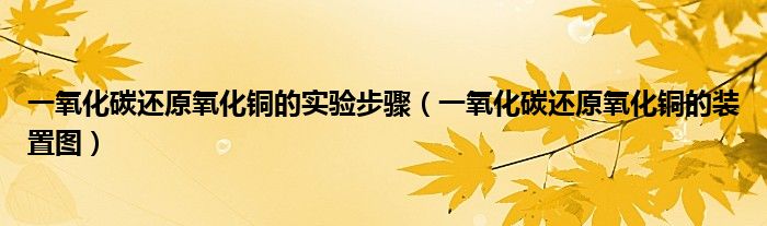 一氧化碳还原氧化铜的实验步骤（一氧化碳还原氧化铜的装置图）