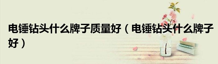 电锤钻头什么牌子质量好（电锤钻头什么牌子好）
