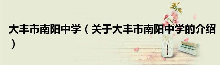 大丰市南阳中学（关于大丰市南阳中学的介绍）