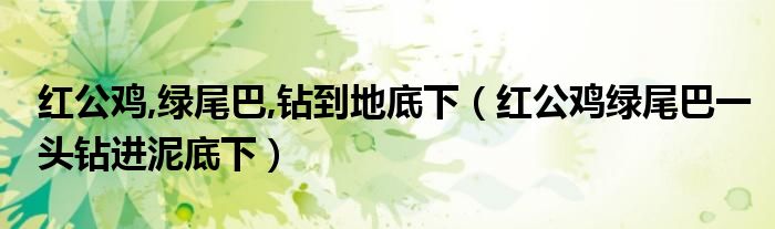 红公鸡,绿尾巴,钻到地底下（红公鸡绿尾巴一头钻进泥底下）