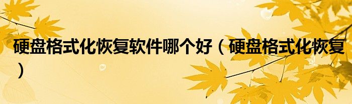 硬盘格式化恢复软件哪个好（硬盘格式化恢复）
