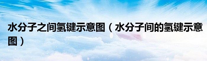 水分子之间氢键示意图（水分子间的氢键示意图）