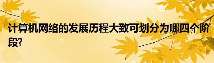 计算机网络的发展历程大致可划分为哪四个阶段?