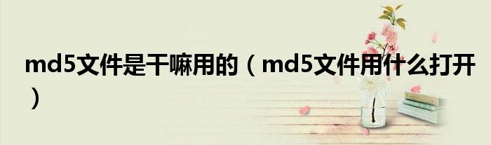 md5文件是干嘛用的（md5文件用什么打开）