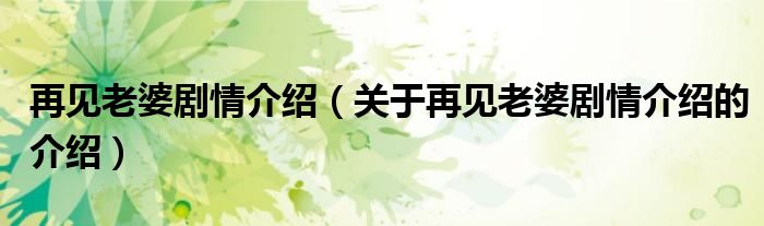 再见老婆剧情介绍（关于再见老婆剧情介绍的介绍）