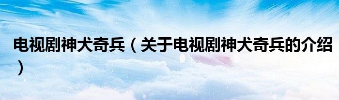 电视剧神犬奇兵（关于电视剧神犬奇兵的介绍）