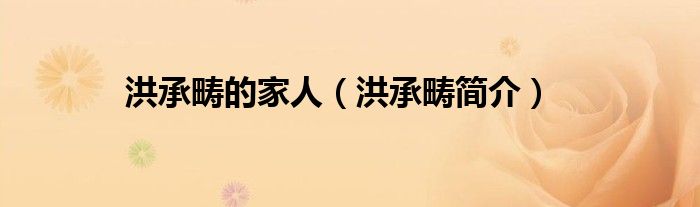 洪承畴的家人（洪承畴简介）