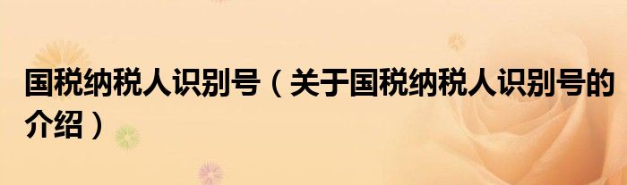 国税纳税人识别号（关于国税纳税人识别号的介绍）