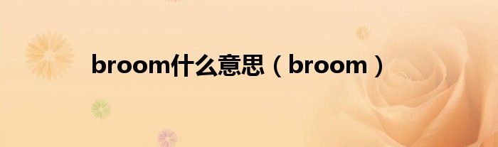 broom什么意思（broom）