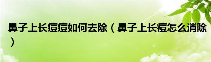 鼻子上长痘痘如何去除（鼻子上长痘怎么消除）