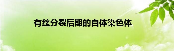 有丝分裂后期的自体染色体