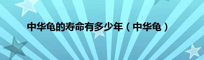 中华龟的寿命有多少年（中华龟）