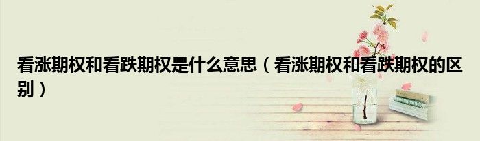 看涨期权和看跌期权是什么意思（看涨期权和看跌期权的区别）