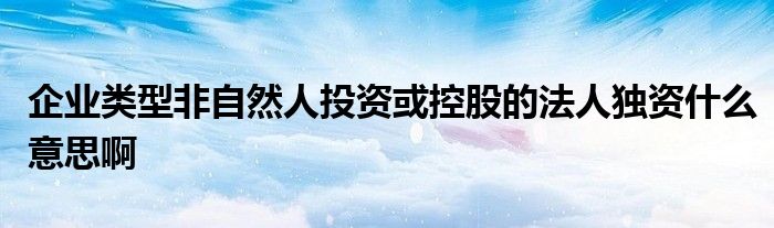 企业类型非自然人投资或控股的法人独资什么意思啊