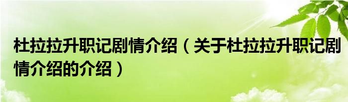 杜拉拉升职记剧情介绍（关于杜拉拉升职记剧情介绍的介绍）