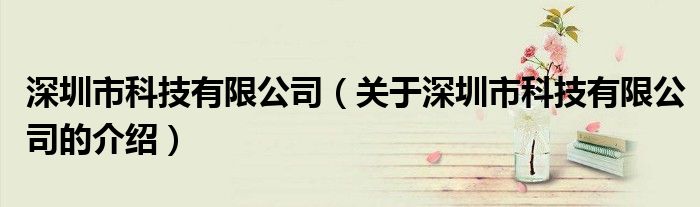 深圳市科技有限公司（关于深圳市科技有限公司的介绍）