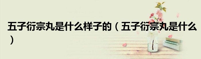 五子衍宗丸是什么样子的（五子衍宗丸是什么）