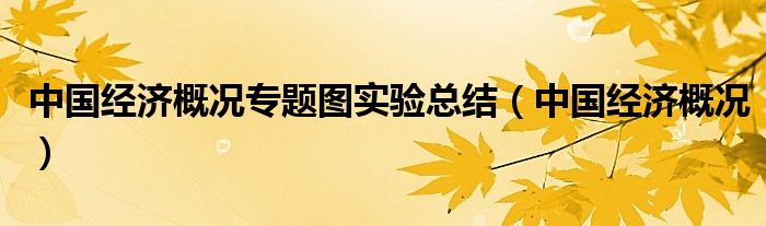 中国经济概况专题图实验总结（中国经济概况）