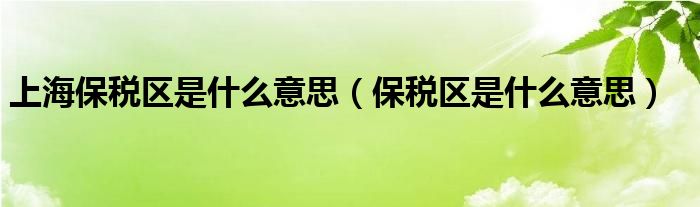 上海保税区是什么意思（保税区是什么意思）