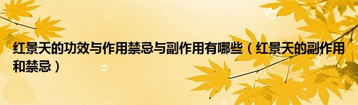 红景天的功效与作用禁忌与副作用有哪些（红景天的副作用和禁忌）