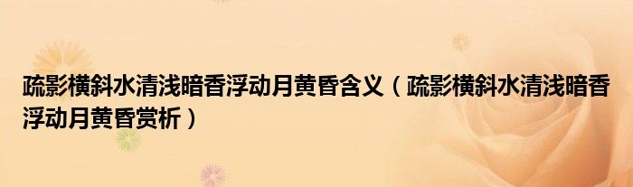 疏影横斜水清浅暗香浮动月黄昏含义（疏影横斜水清浅暗香浮动月黄昏赏析）