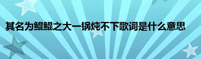 其名为鲲鲲之大一锅炖不下歌词是什么意思