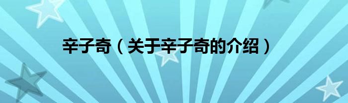 辛子奇（关于辛子奇的介绍）