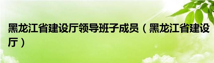 黑龙江省建设厅领导班子成员（黑龙江省建设厅）