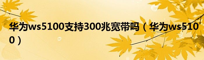 华为ws5100支持300兆宽带吗（华为ws5100）