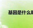 基因是什么时候发现的（基因是什么）