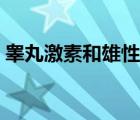 睾丸激素和雄性激素是一样的吗（睾丸激素）