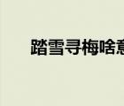 踏雪寻梅啥意思（踏雪寻梅什么意思）