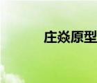 庄焱原型人物（庄焱原型是谁）