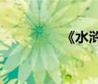 《水浒传》历史面貌描述