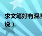 求文笔好有深度的小说（文笔好的有深度的小说）