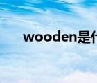 wooden是什么意思英语（wooden）