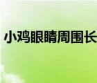 小鸡眼睛周围长小疙瘩（眼睛周围长小疙瘩）